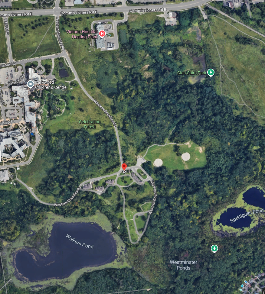 Overhead ggoogle image of the Snowshoe Shed at 944 Western Counties Rd